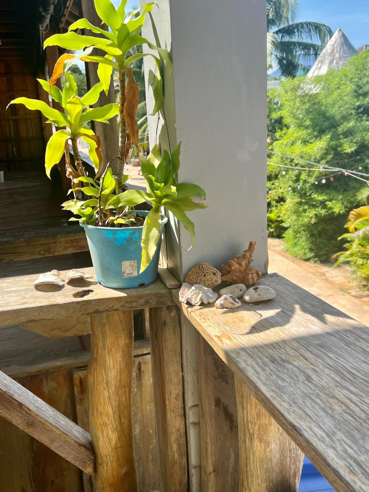 Ing Ing Guesthouse Koh Rong Sanloem Luaran gambar